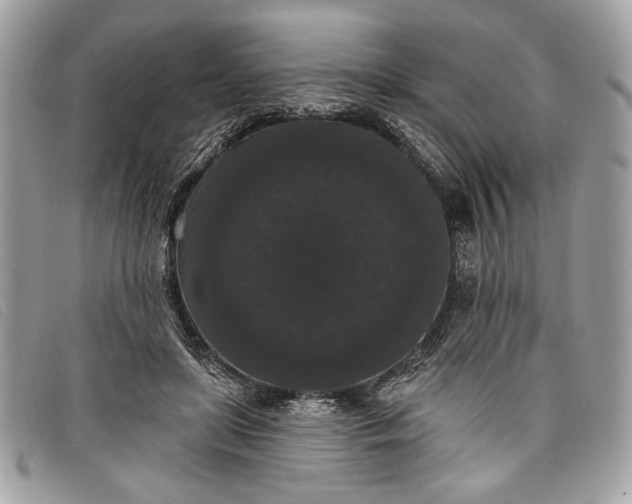 X0000098010451200804111237