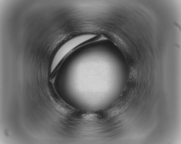 X0000098010452200804111237