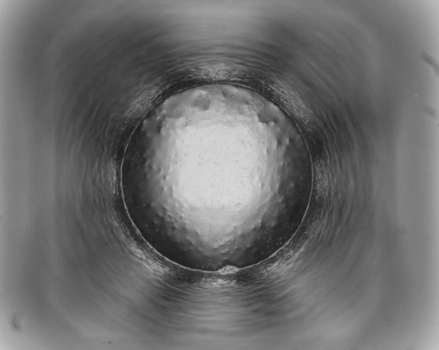 X0000098010453200804111237