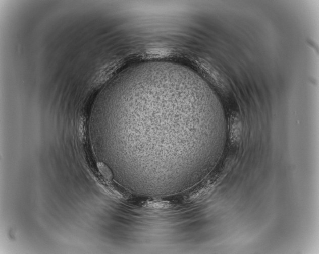 X0000098010455200804111237