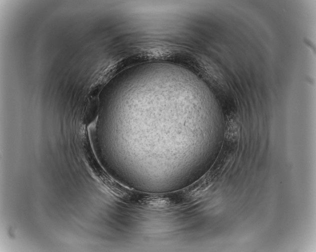 X0000098010456200804111237