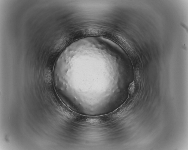 X0000098010457200804111237