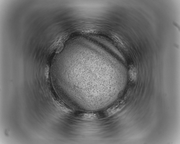 X0000098010458200804111237