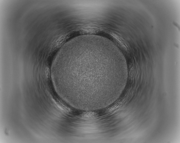 X0000098010459200804111237