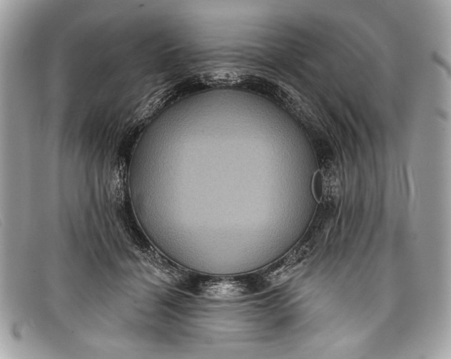 X0000098010460200804111237