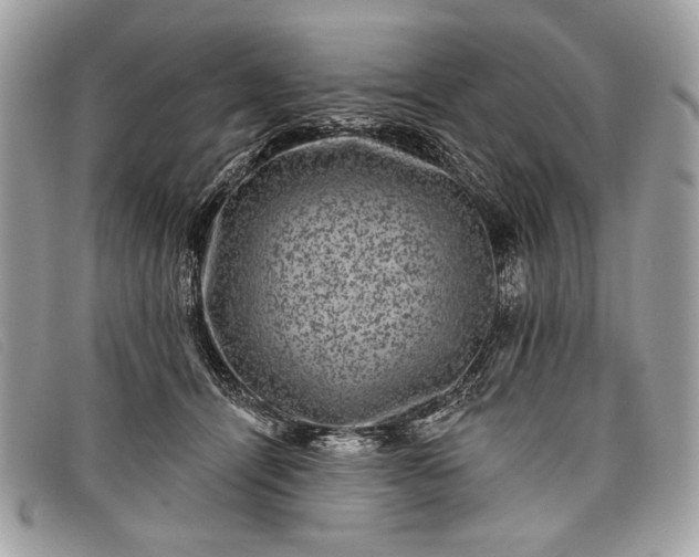 X0000098010464200804111237