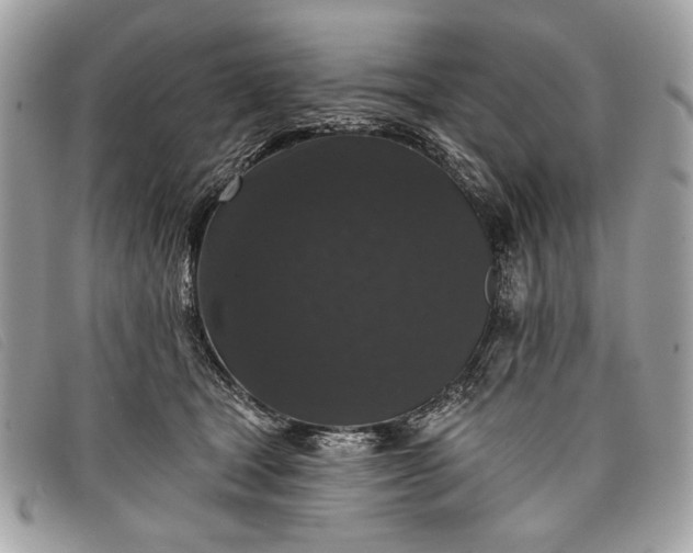 X0000098010465200804111237