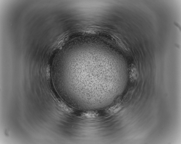 X0000098010466200804111237