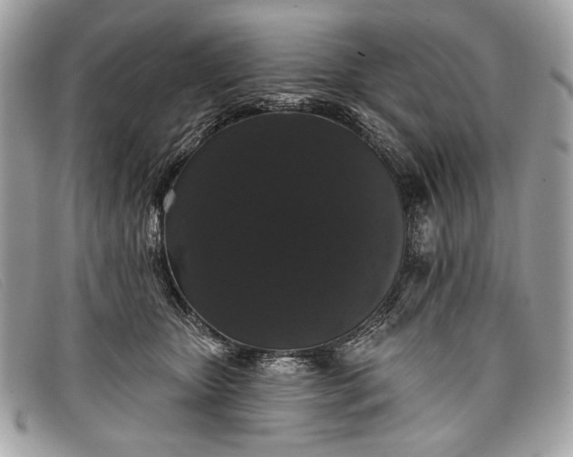 X0000098010467200804111237