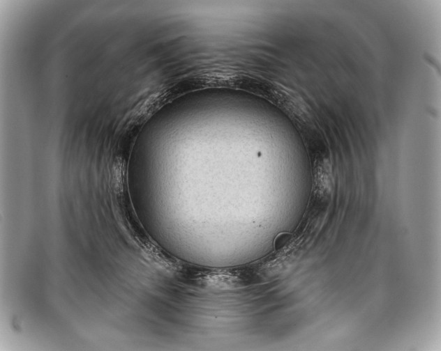 X0000098010468200804111237