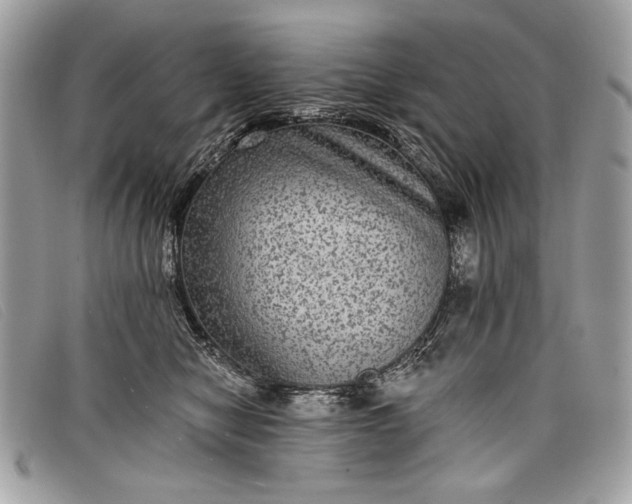 X0000098010470200804111237