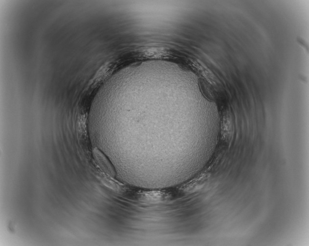 X0000098010473200804111237