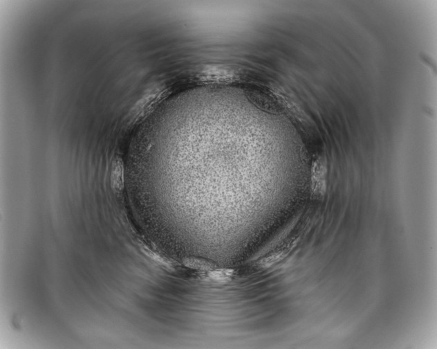 X0000098010474200804111237