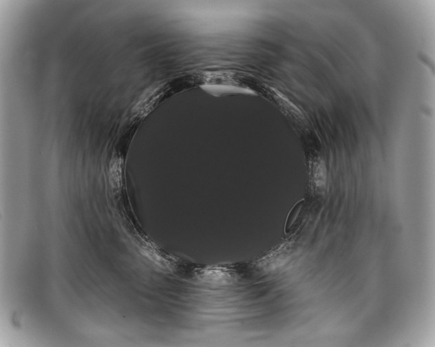 X0000098010475200804111237