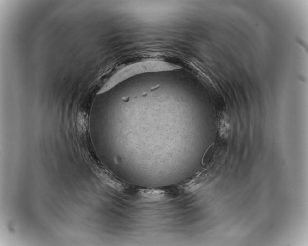 X0000098010476200804111237