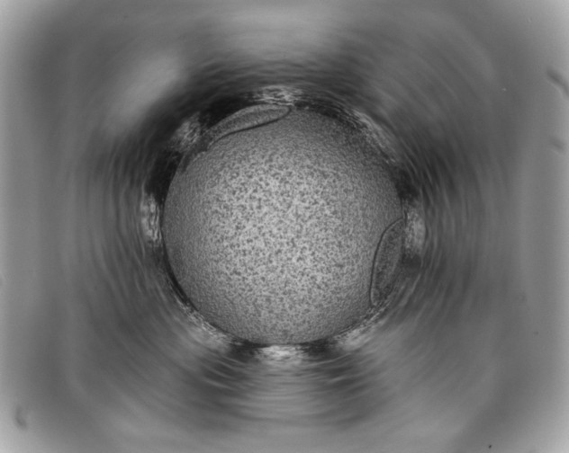 X0000098010477200804111237