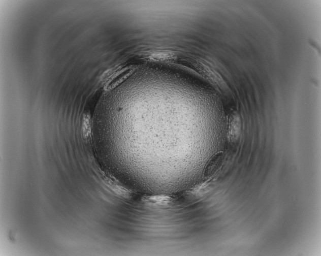 X0000098010478200804111237