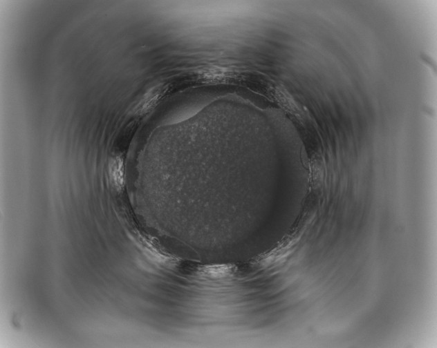 X0000098010479200804111237