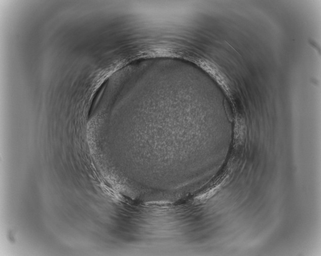 X0000098010481200804111236