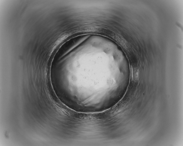 X0000098010483200804111236