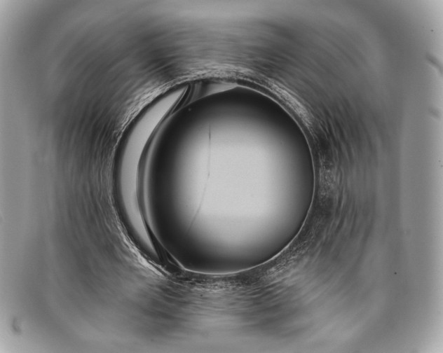 X0000098010485200804111236