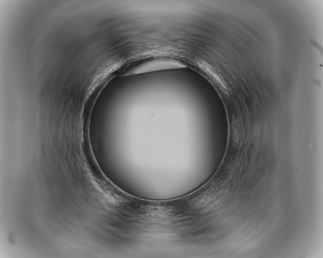 X0000098010486200804111236