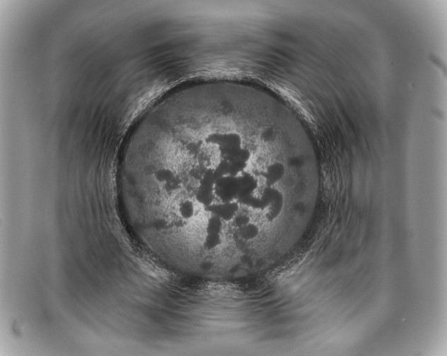 X0000098010487200804111236