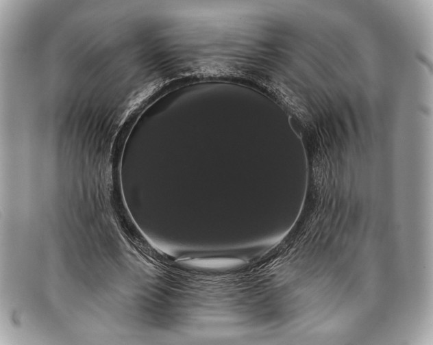 X0000098010488200804111236