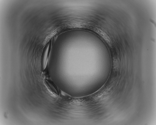 X0000098010489200804111236