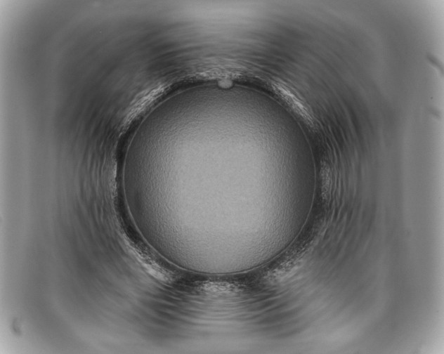 X0000098010490200804111236