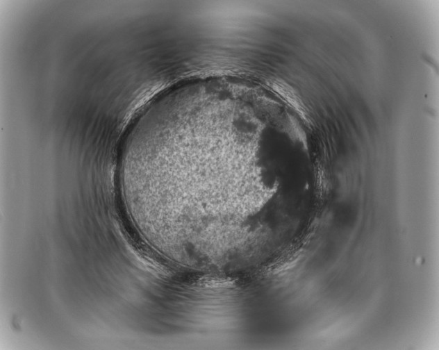 X0000098010491200804111236