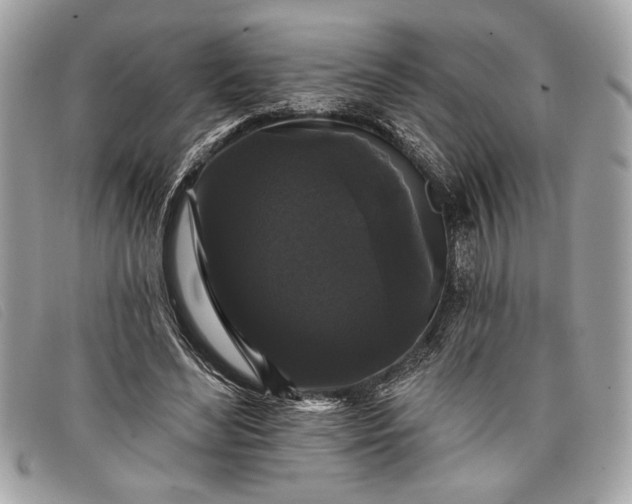 X0000098010492200804111236