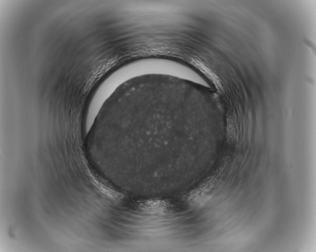 X0000098010493200804111236