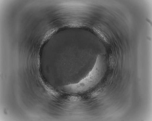 X0000098010494200804111236