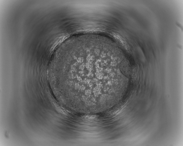 X0000098010495200804111236