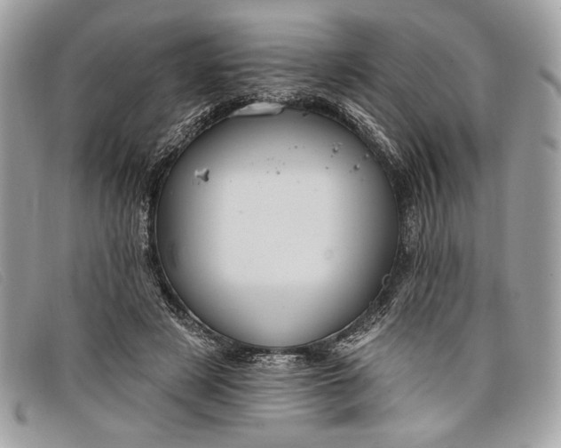 X0000098010497200804111236