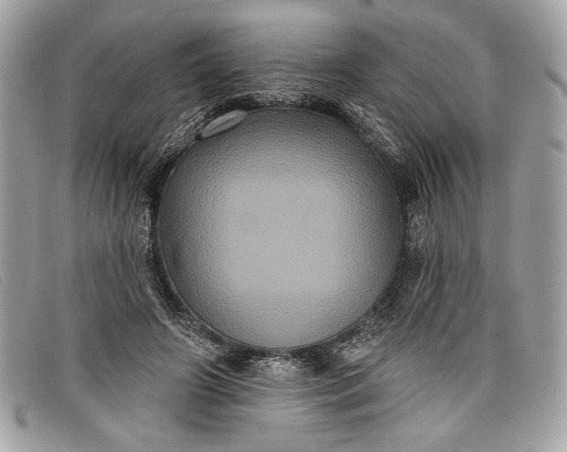 X0000098010498200804111236