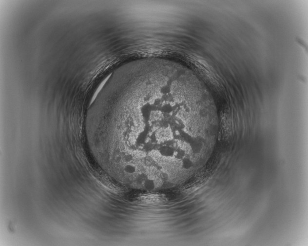 X0000098010499200804111236