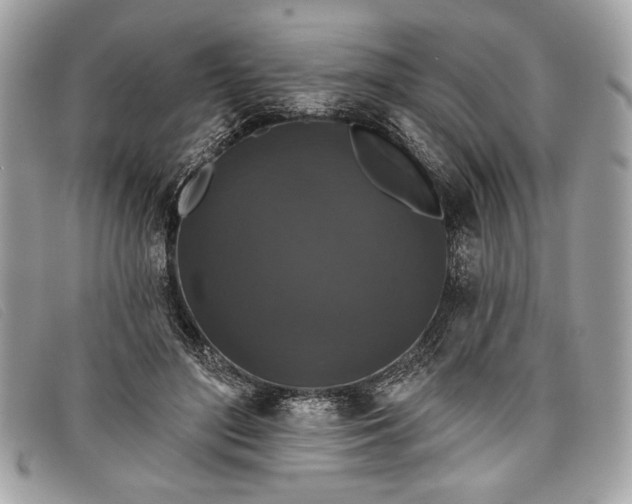 X0000098010500200804111236