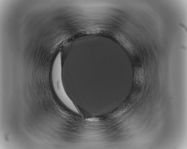 X0000098010501200804111236