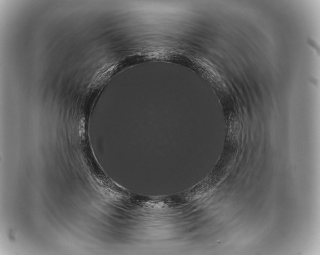 X0000098010502200804111236