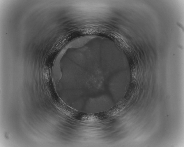 X0000098010503200804111236