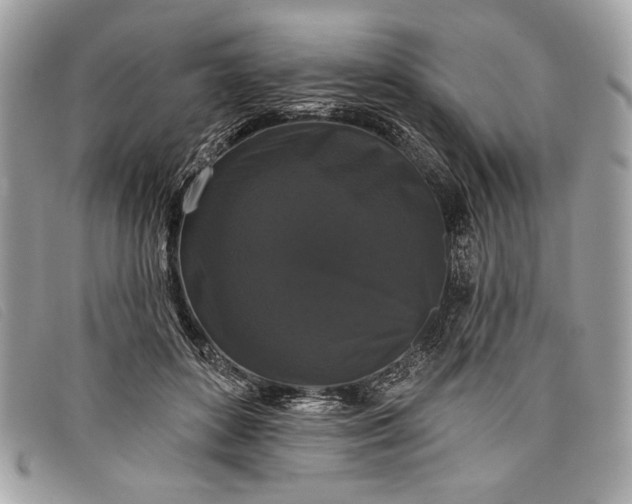 X0000098010504200804111236