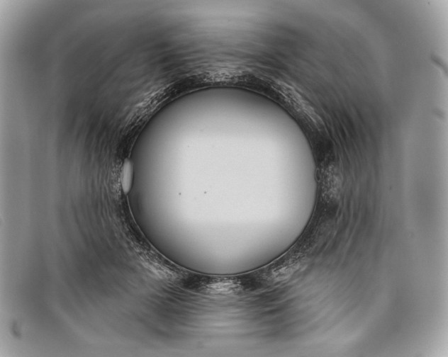 X0000098010505200804111236