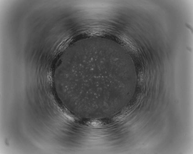 X0000098010506200804111236