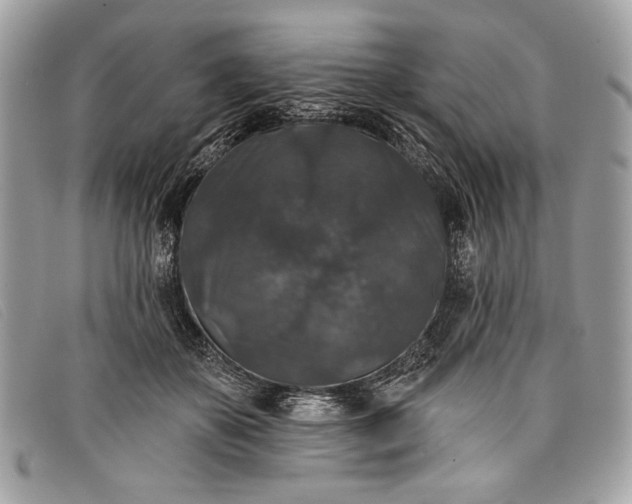 X0000098010507200804111236