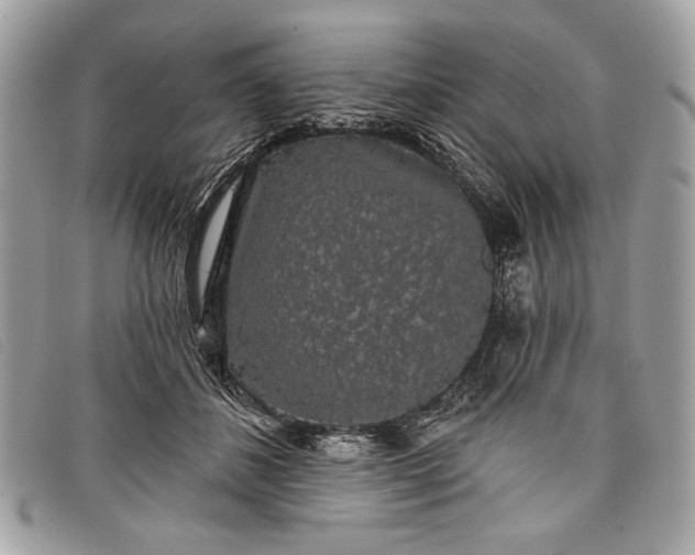 X0000098010508200804111236