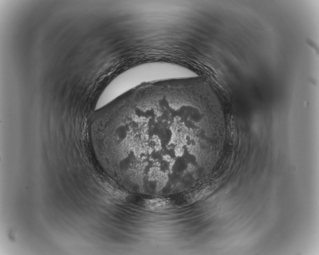 X0000098010511200804111236