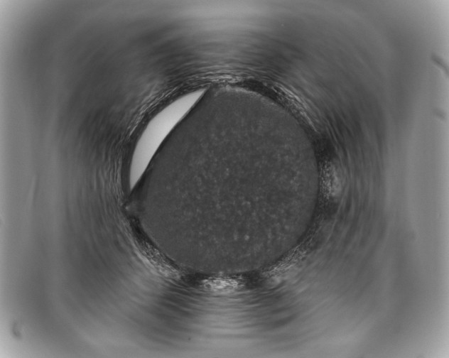 X0000098010512200804111236