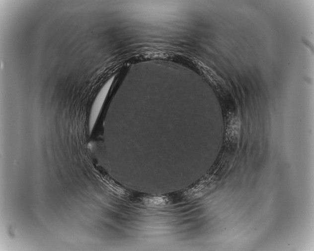 X0000098010513200804111236